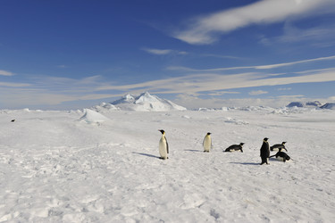 Similar image 13214172