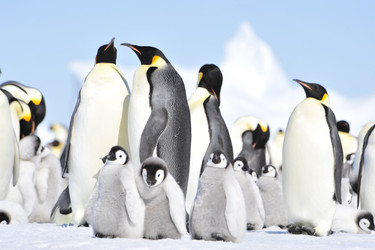 Similar image 13214498