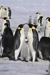 Similar image 13214127