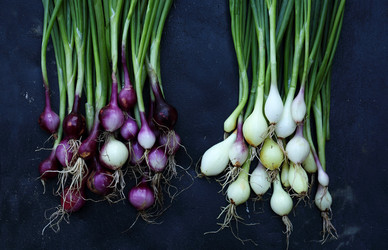 Similar image 13209637