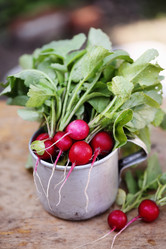 Similar image 13209547