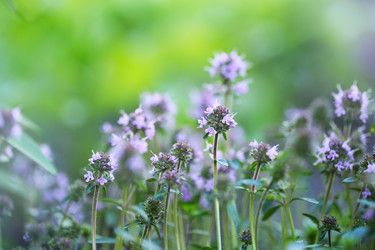 Similar image 13208560