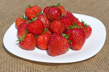 Similar image 13241322