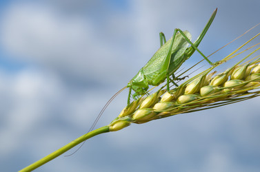 Similar image 13241324