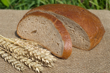 Similar image 13193108