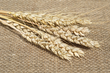 Similar image 13193109