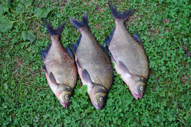 Similar image 13241326