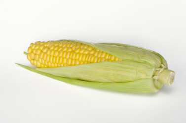 Similar image 13195385