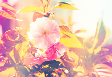 Similar image 13210693