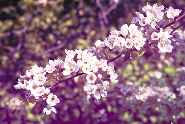 Similar image 13210694