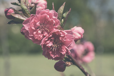 Similar image 13210697