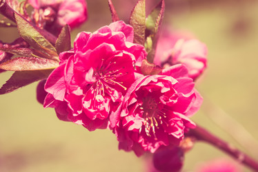 Similar image 13210698