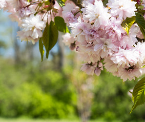 Similar image 13210712