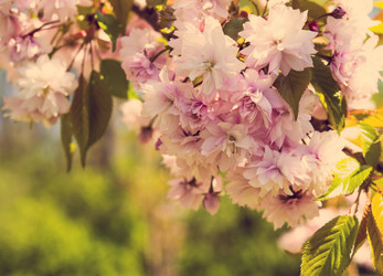 Similar image 13210713