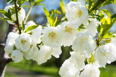 Similar image 13210715