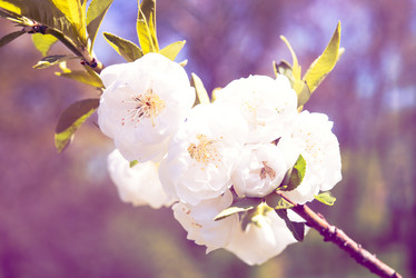 Similar image 13210716