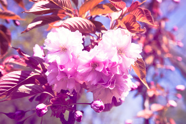 Similar image 13210717