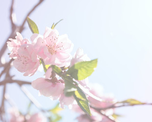 Similar image 13210718