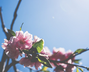 Similar image 13210720