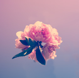 Similar image 13210357