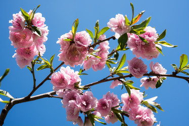 Similar image 13210361