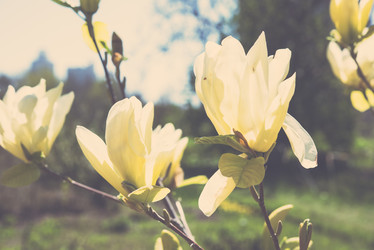 Similar image 13210365