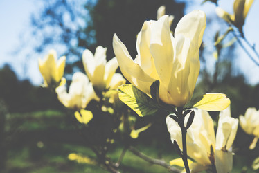 Similar image 13210369