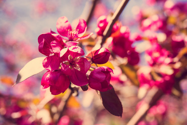 Similar image 13210371