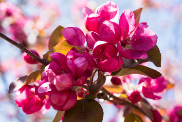 Similar image 13210373