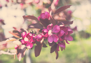 Similar image 13210375