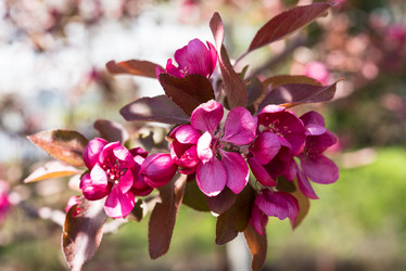 Similar image 13210376