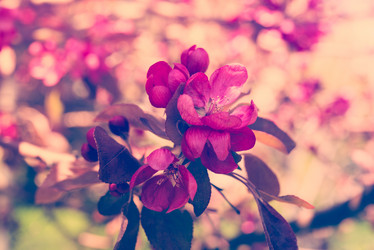 Similar image 13210731