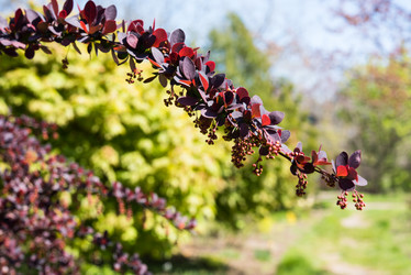 Similar image 13210734