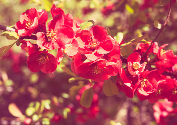 Similar image 13210735