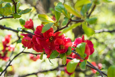 Similar image 13210736