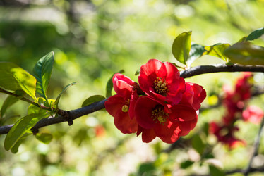 Similar image 13210737