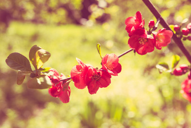 Similar image 13210738