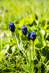 Similar image 13210739