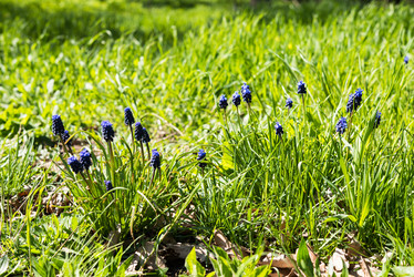 Similar image 13210742