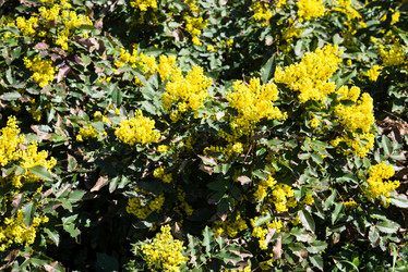 Similar image 13210403