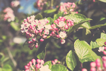 Similar image 13210404