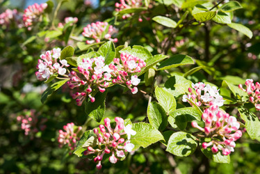 Similar image 13210405