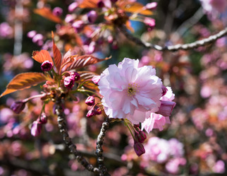 Similar image 13210748