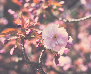 Similar image 13210749