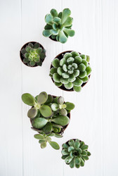 Similar image 13210752