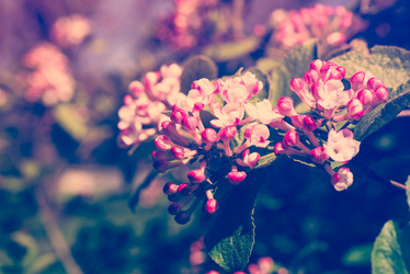 Similar image 13210753