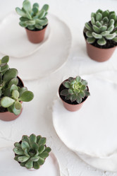 Similar image 13210470