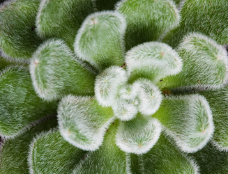 Similar image 13210472