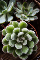 Similar image 13210497