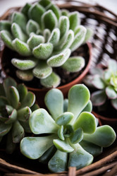 Similar image 13210506